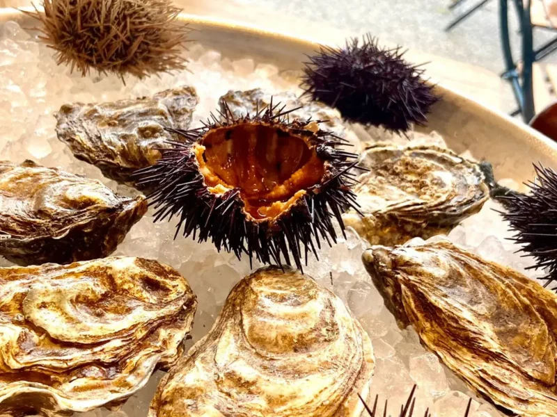 Notre carte du restaurant